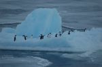 2nd Indian Scientific Expedition to Antarctica