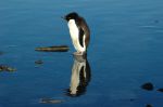 6th Indian Scientific Expedition to Antarctica